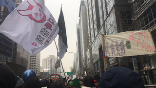 Bunny Symbol For <i>Overwatch</i>'s D.Va Shows Up At Women's March In Seoul